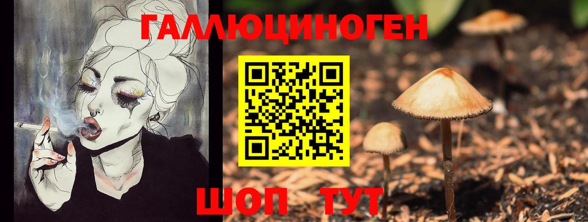 Россия  Галлюциногенные грибы Cubensis  Вход с VPN 