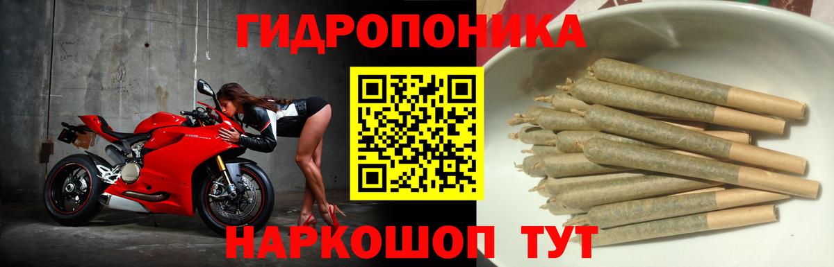 Каннабис семена  Каннабис семена  Вход с VPN  Бошки Шишки White Widow  Россия  Шишки марихуана марихуана 